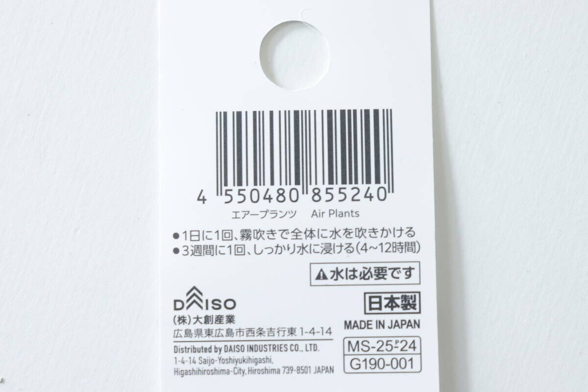 エアープランツの値札裏面。バーコードと育て方
