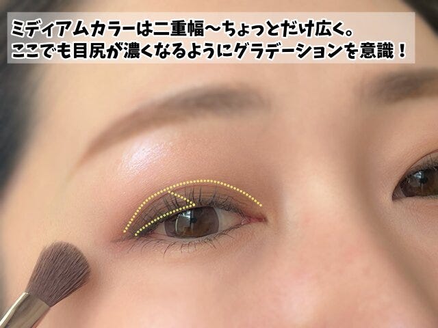 中間色は横の広がりを意識して縦方向ではなく横方向にミディアムカラーを広げる