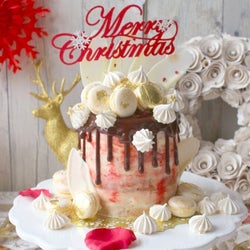 今年のクリスマスは「ムービージェニック」なケーキをつくろう!