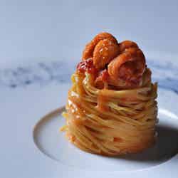 星野リゾート トマム(C)モデルプレス