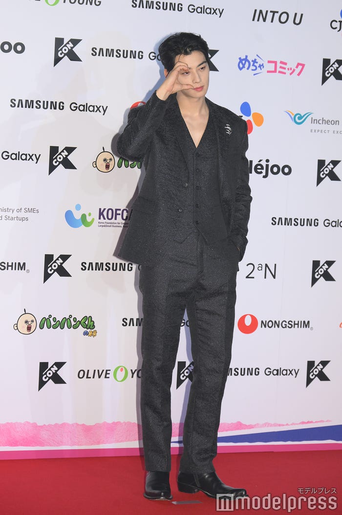 チャウヌ(C)モデルプレス