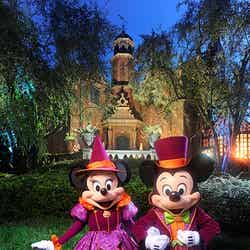 ミッキー＆ミニー／ウォルト・ディズニー・ワールド・リゾート（C）Disney