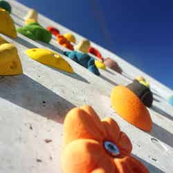 スカイドーム阪南/画像提供:ブッキングリゾート