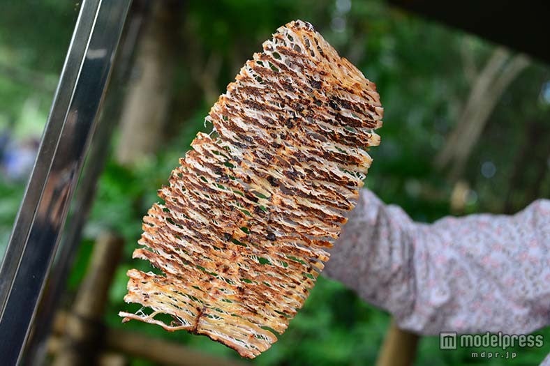 韓国風焼きイカHK＄39