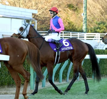 メイショウタバルが大阪杯で始動 鞍上は引き続き武豊を予定