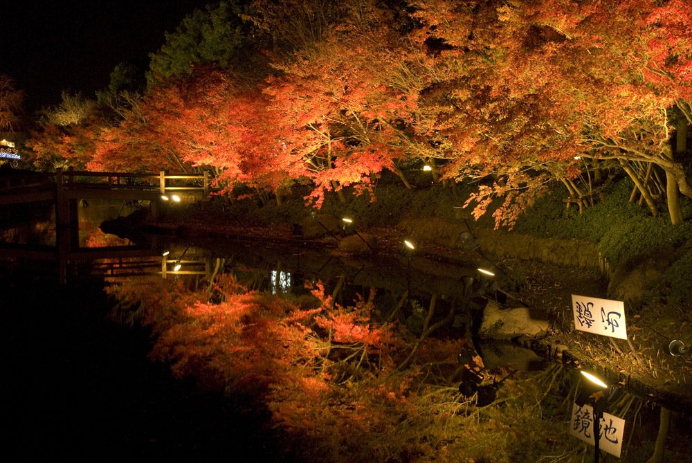 イルミネーションと紅葉のコラボ／画像提供：長島観光開発株式会社
