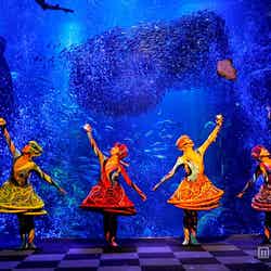 アクアンのクリスマスコンサート♪/画像提供:新江ノ島水族館