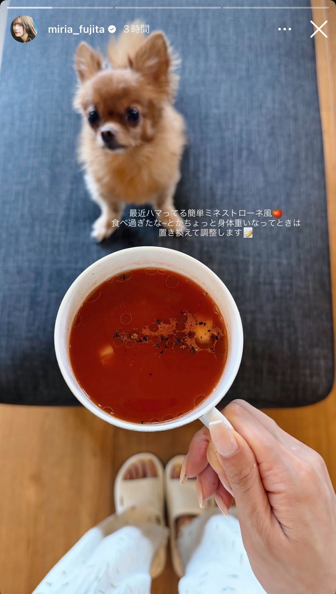 藤田みりあInstagramストーリーズより