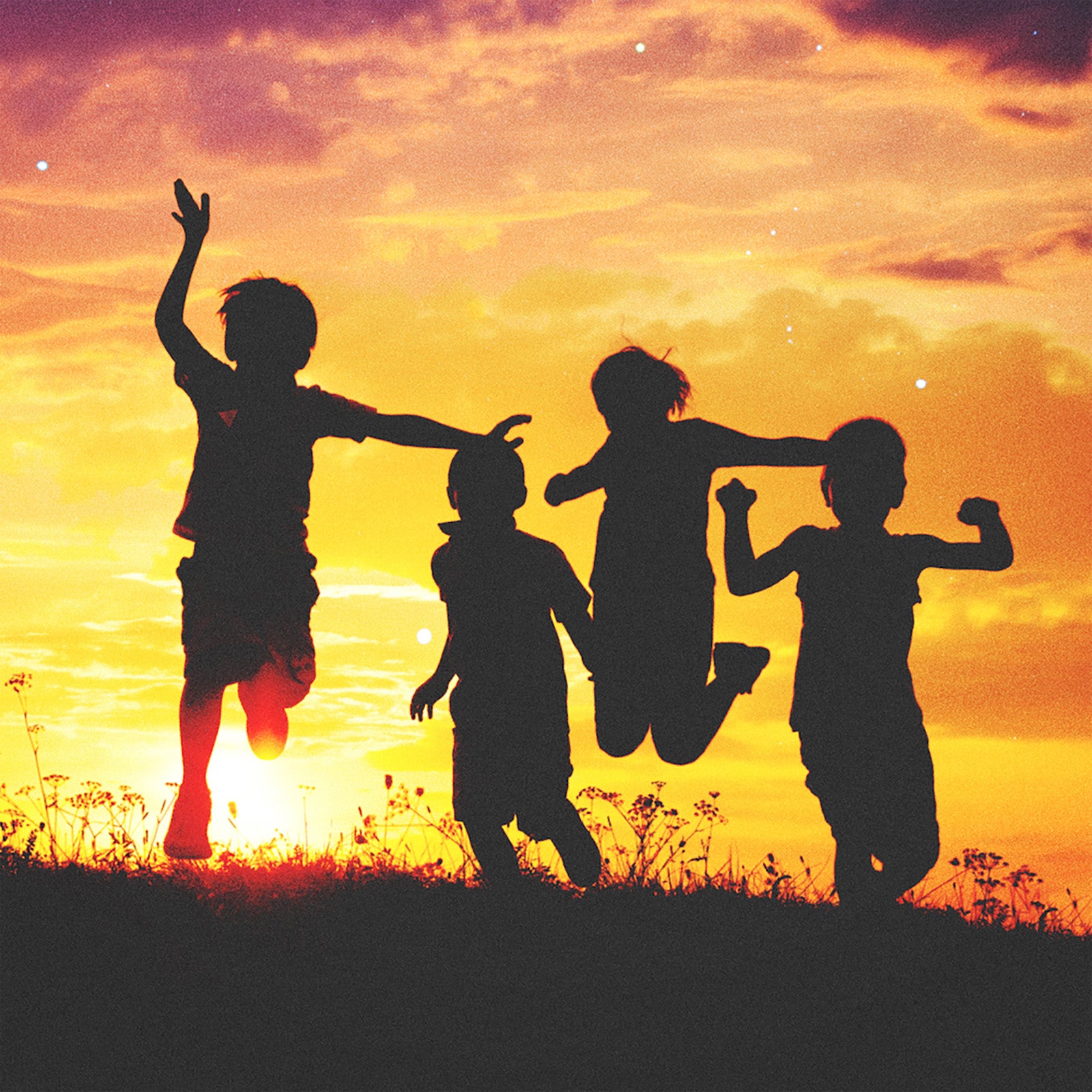 神はサイコロを振らない （C）日本テレビ