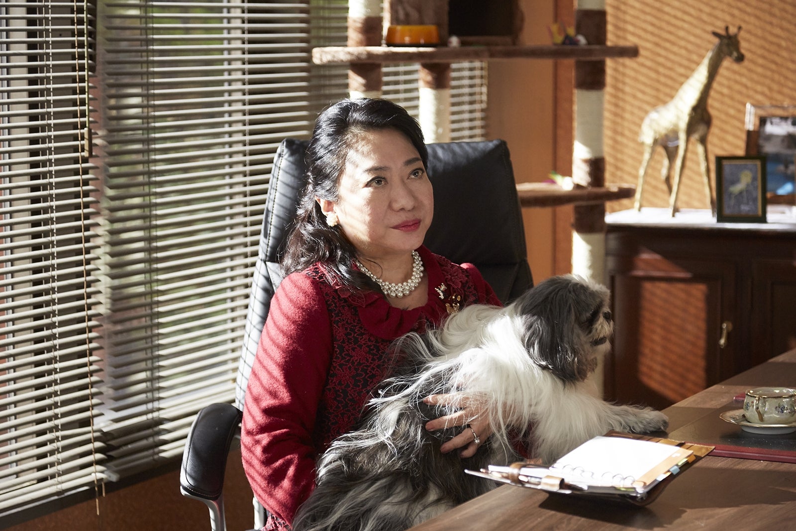 山村紅葉（C）2017『リベンジgirl』製作委員会