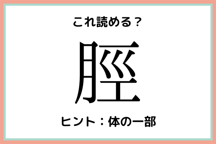 脛 って何て読む 読めたらすごい 難読一文字漢字 4選 モデルプレス 脛 って何て読む 読めたらすごい 難読一文字漢字 4選 モデルプレス