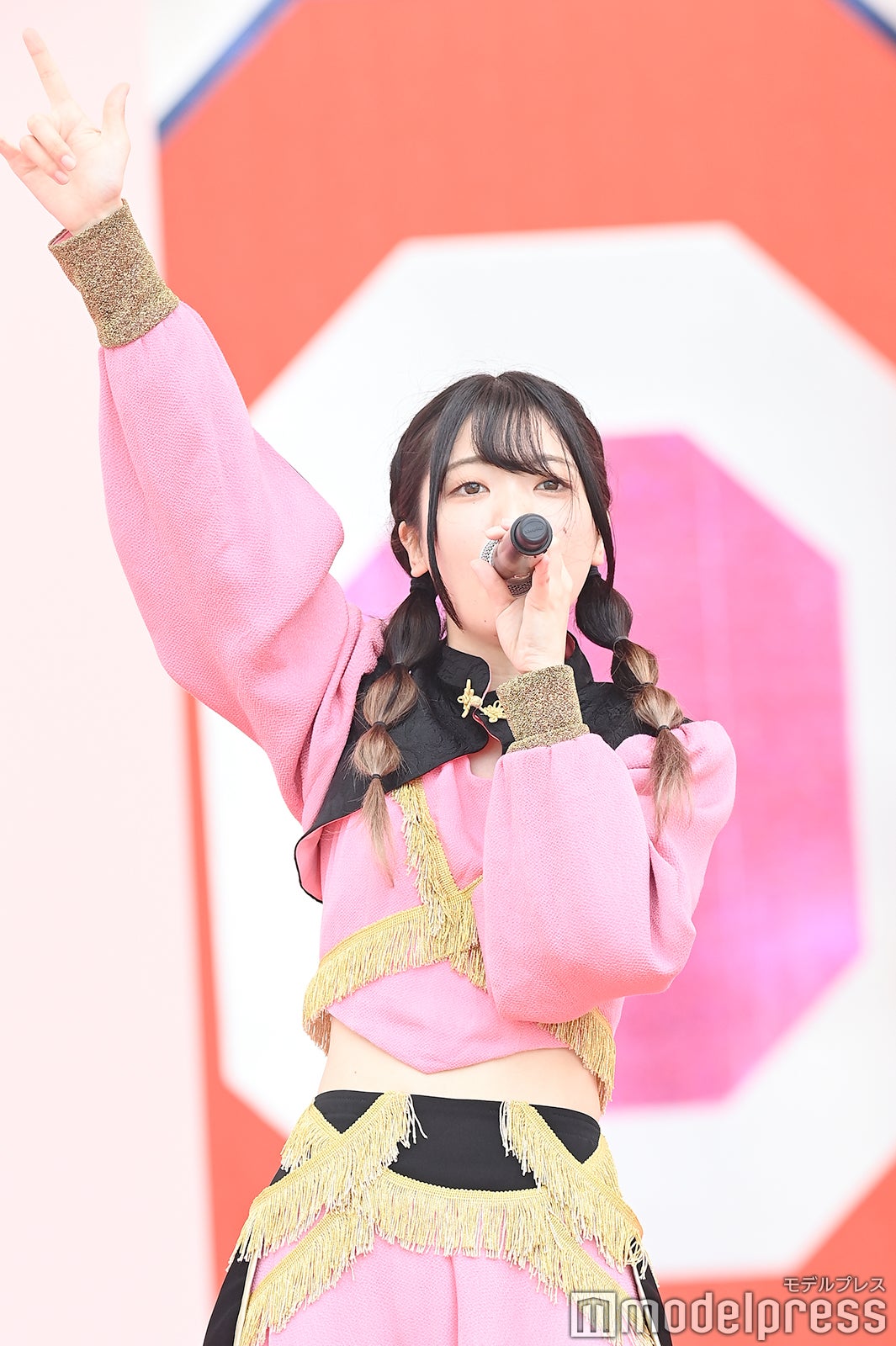 豆柴の大群（C）モデルプレス