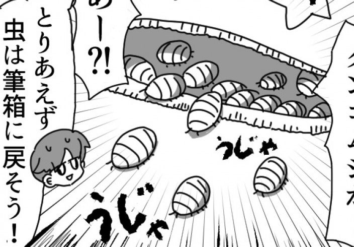 珍 学童エピソード 男子のとある行動が原因でダンゴムシが大量発生 後編 モデルプレス