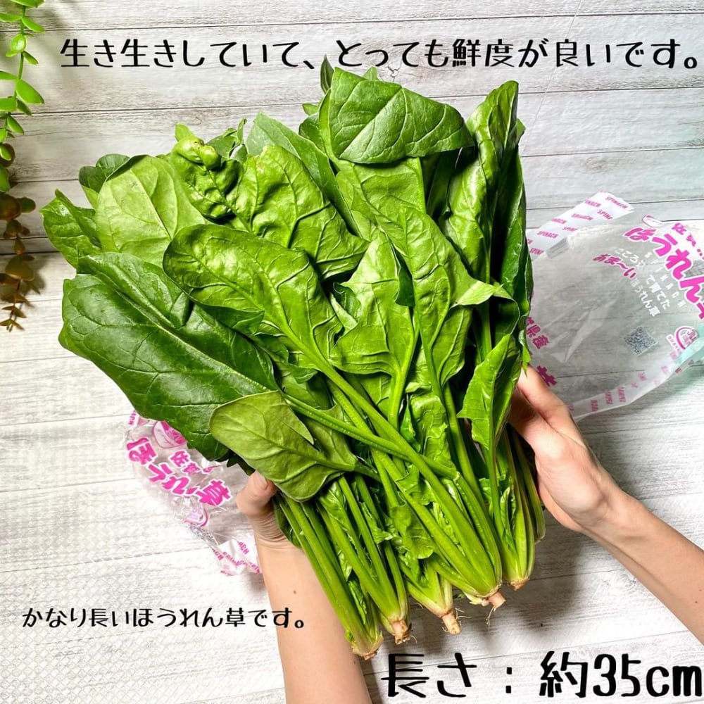 コストコほうれん草
