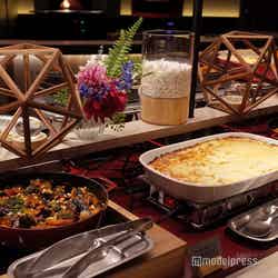 星野リゾート トマム(C)モデルプレス