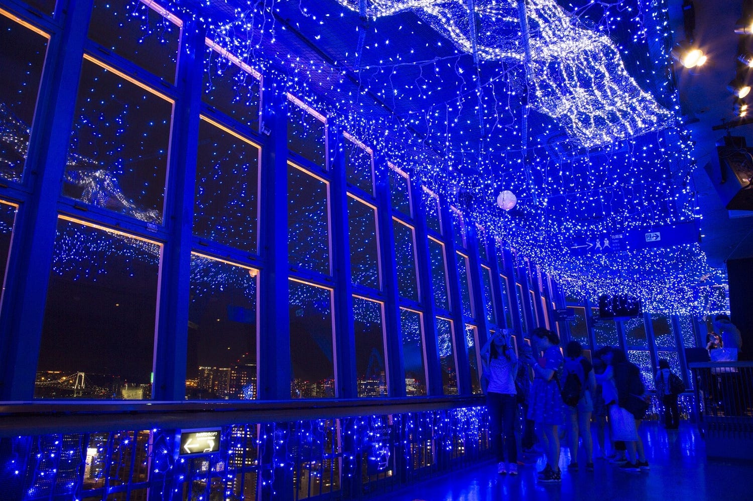 週末何する?次の休みに行くお出かけスポット11選【6月3日~4日】