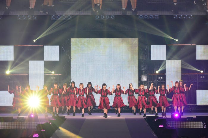 欅坂46(提供写真)