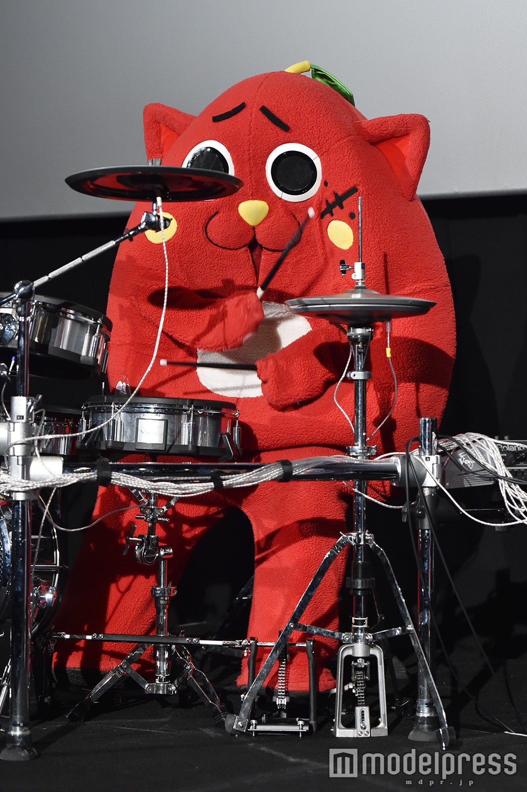 にゃんごすたー （C）モデルプレス