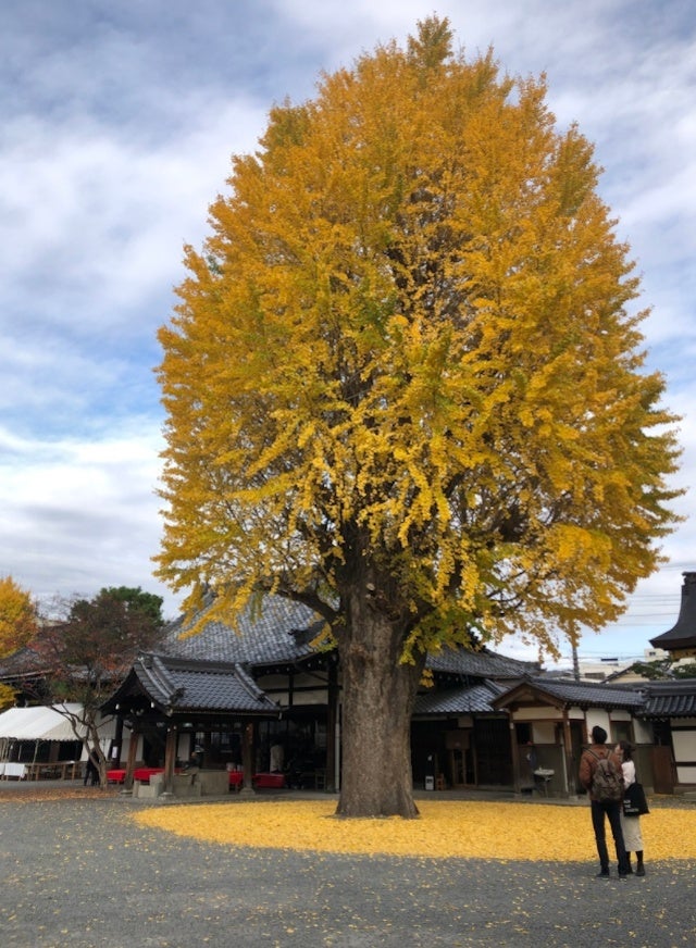 京都通がこっそり教えます！絶景の中でのんびりできる「リラックススポット」3選