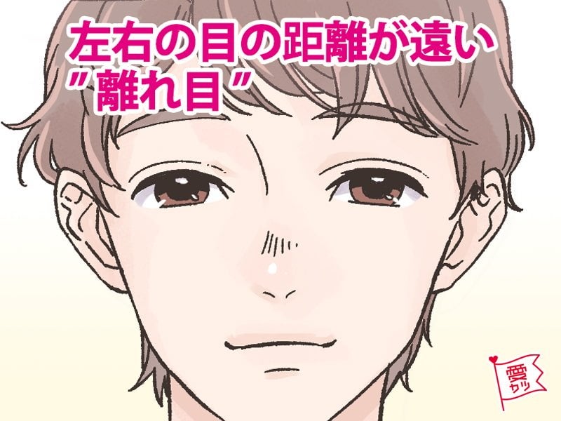 左右の目の距離が遠い“離れ目”