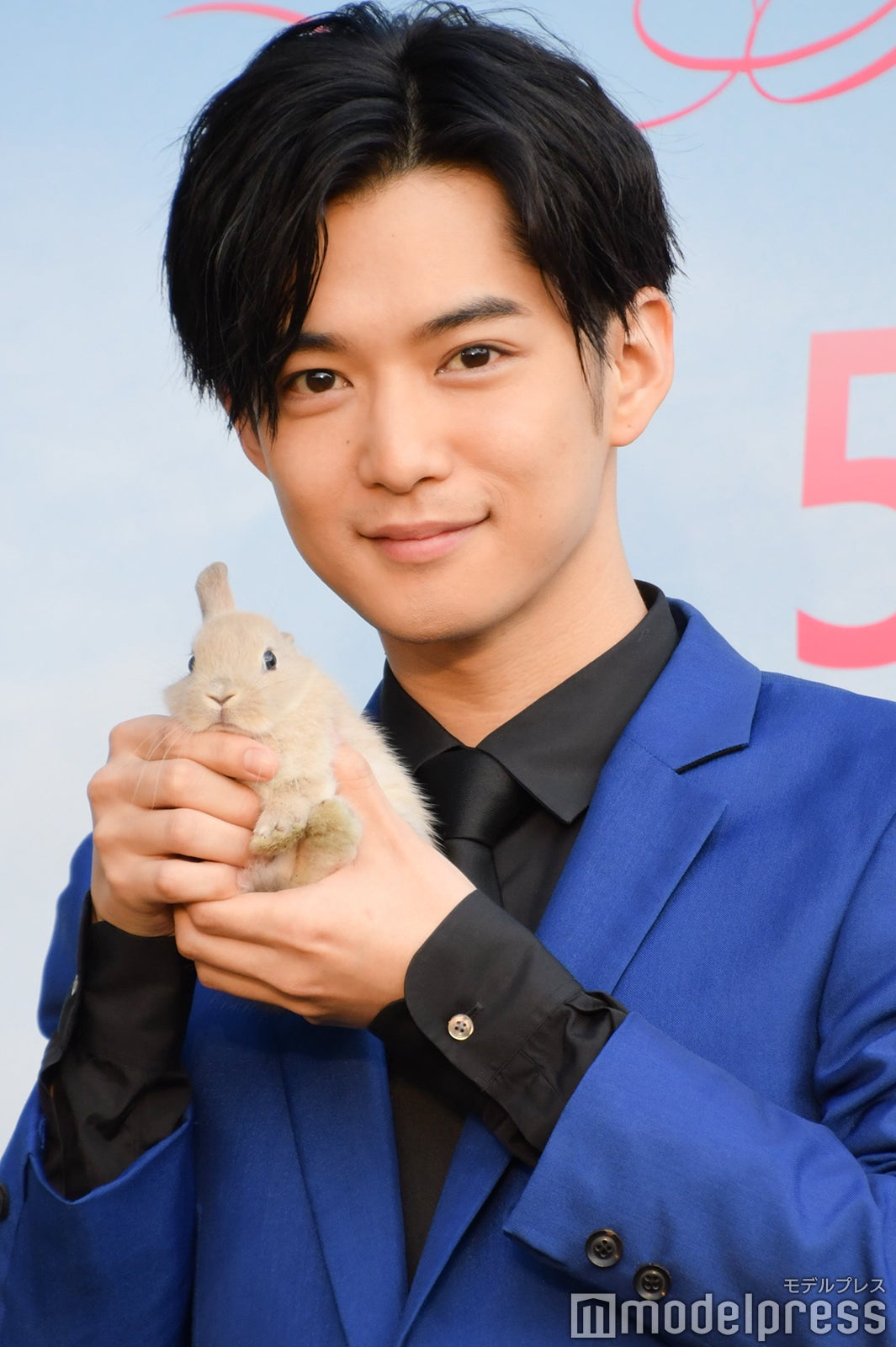 千葉雄大（C）モデルプレス