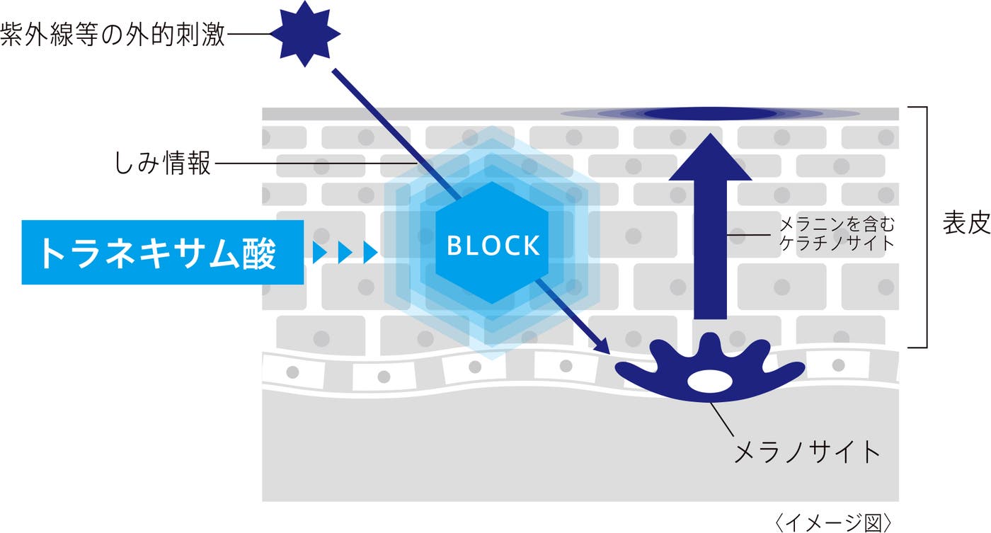 トラネキサム酸がしみの原因となるメラニンの生成を抑制するイメージ図(提供素材)
