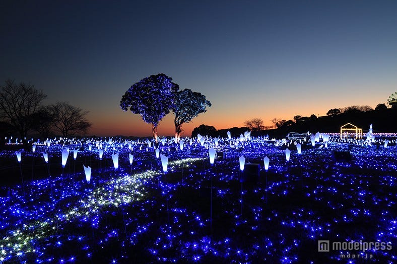 キラキラの世界にうっとり 40万球の光輝く“星降るイルミ”が美しい