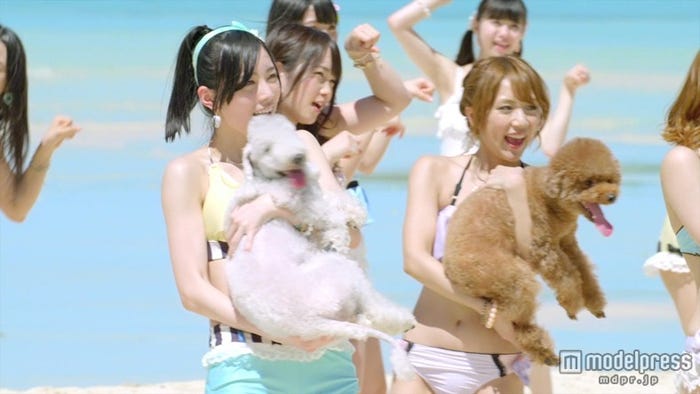 AKB48「ラブラドール・レトリバー」MVより(C)AKS