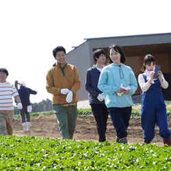 （左から）諏訪雅、高橋努、渡辺大知、朝倉あき、芳根京子、やついいちろう／「それってパクリじゃないですか？」第3話より（C）日本テレビ