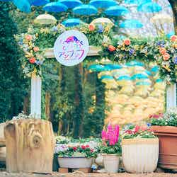 ムーミン谷とアンブレラ(C)Moomin Characters