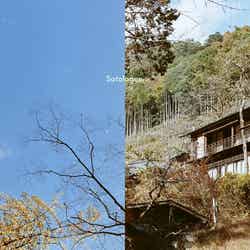 Satologue/提供画像