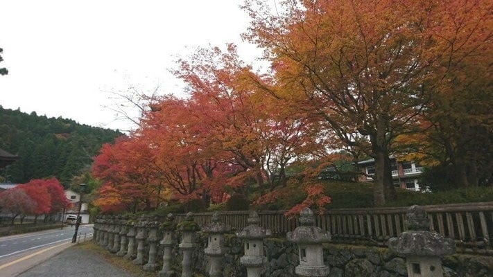 浪切不動尊近くの灯籠と紅葉。目にも鮮やかな風景です(2021年11月6日撮影)