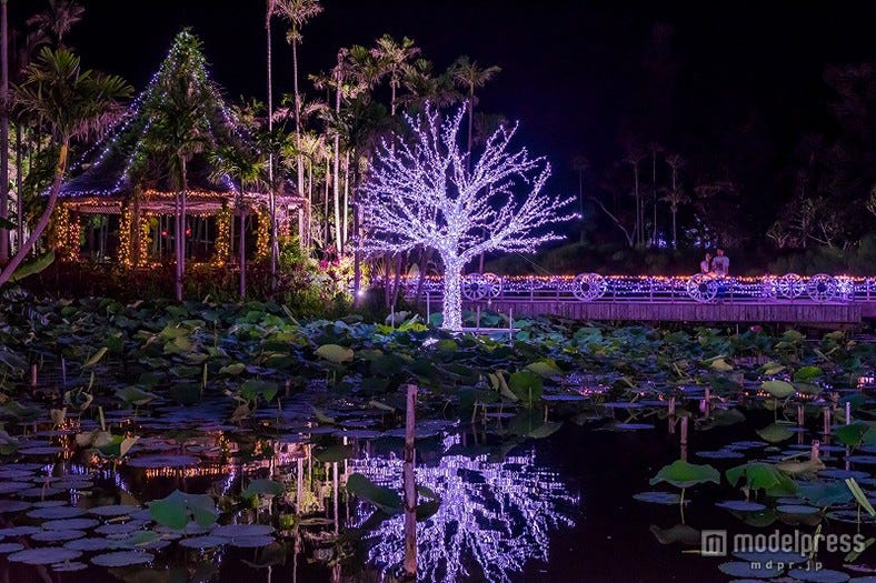 冬の沖縄でしか見られない注目イルミネーション3選