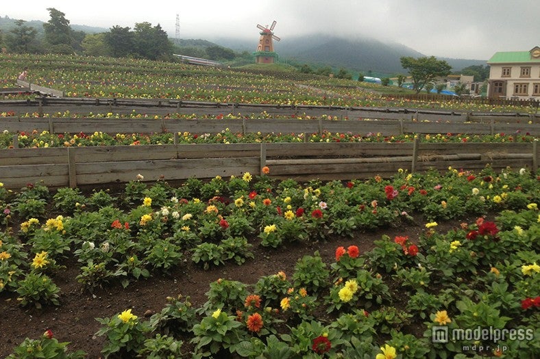 7月10日時点の様子／画像提供：富士急行