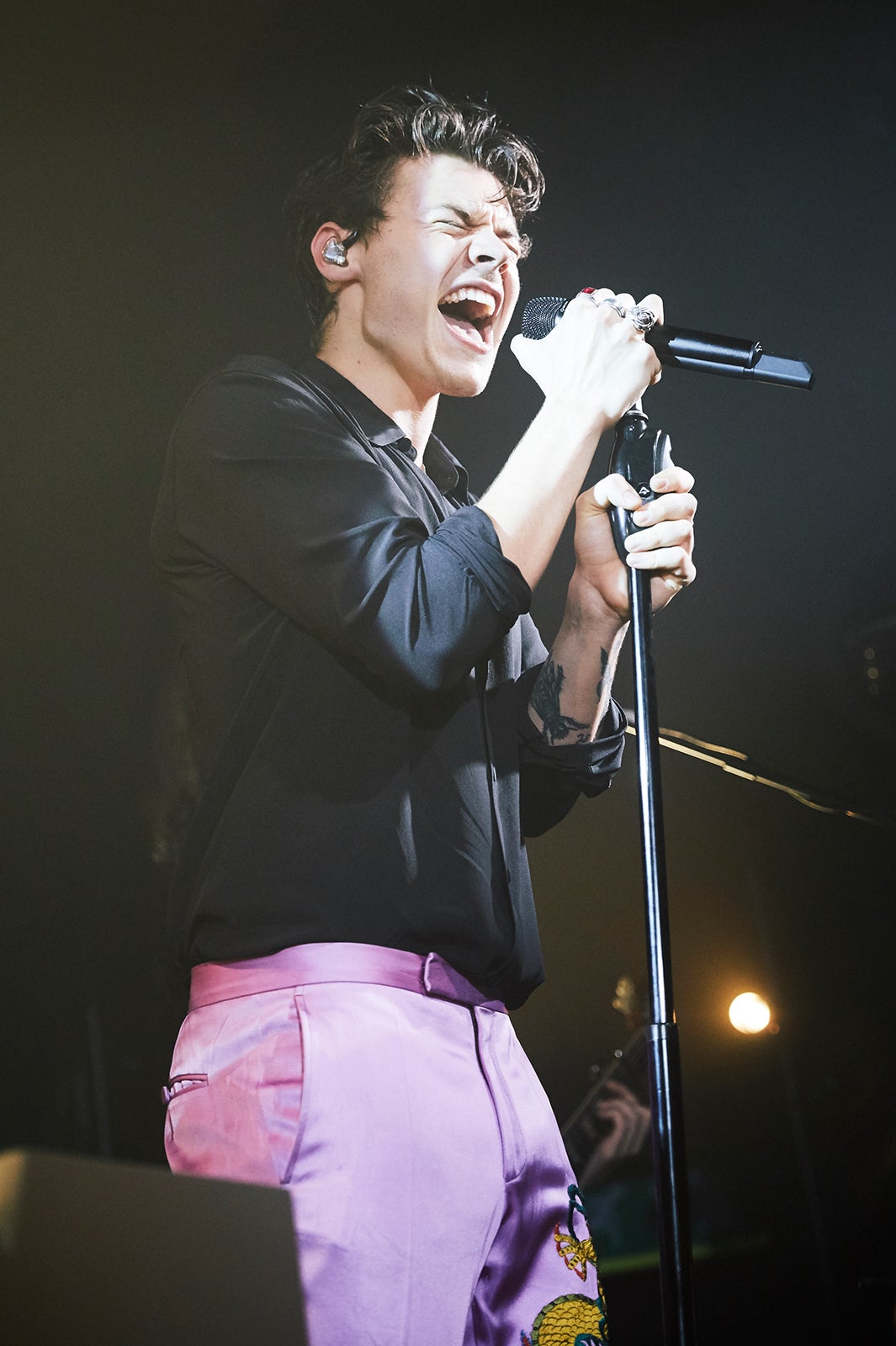 ハリー・スタイルズ（提供画像）