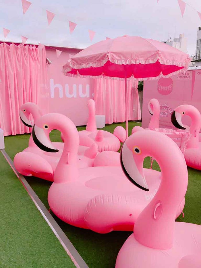 chuu POPUP STORE/画像提供:chuu japan