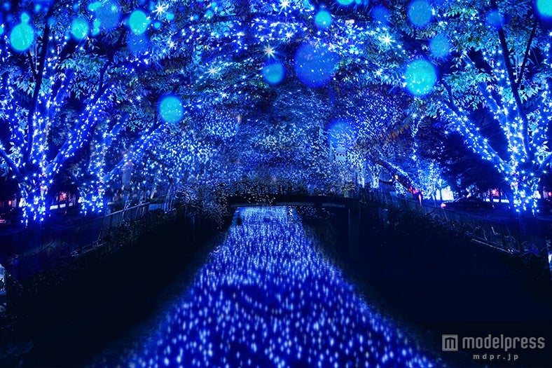 幻想的な青の世界が広がる「Nakameguro青の洞窟」
