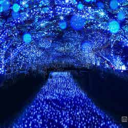 幻想的な青の世界が広がる「Nakameguro青の洞窟」