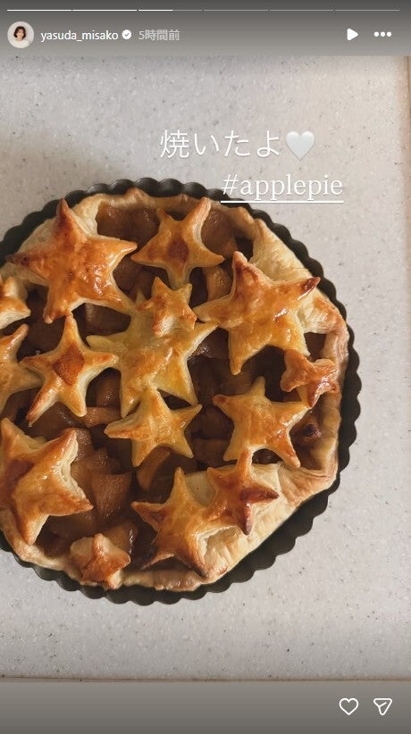 安田美沙子Instagramストーリーズより