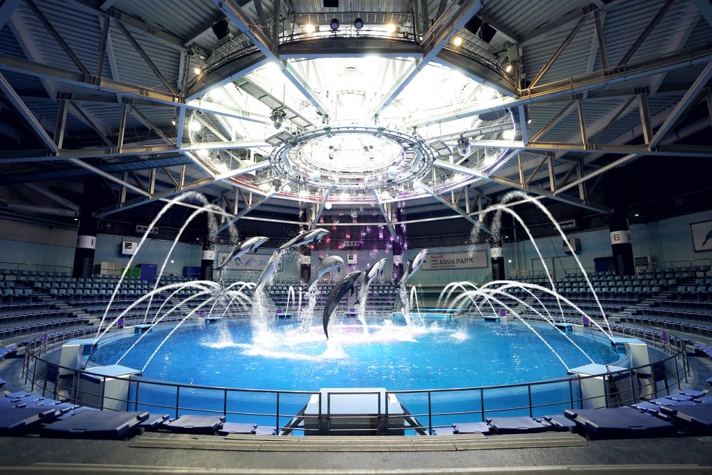 デイver.疾風-HAYATE／画像提供：横浜八景島