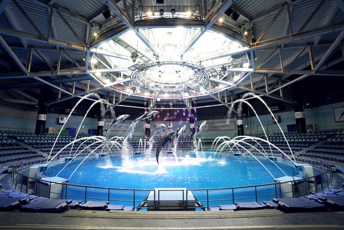 デイver.疾風-HAYATE/画像提供:横浜八景島