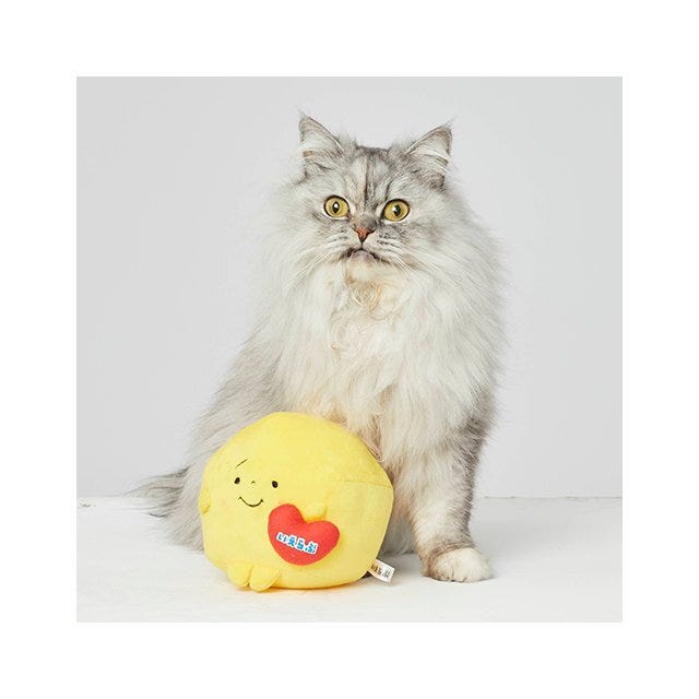 猫の手もいらない篇 いえらぶCLOUDの後藤真希さんとトゥンカロンさんの新CM