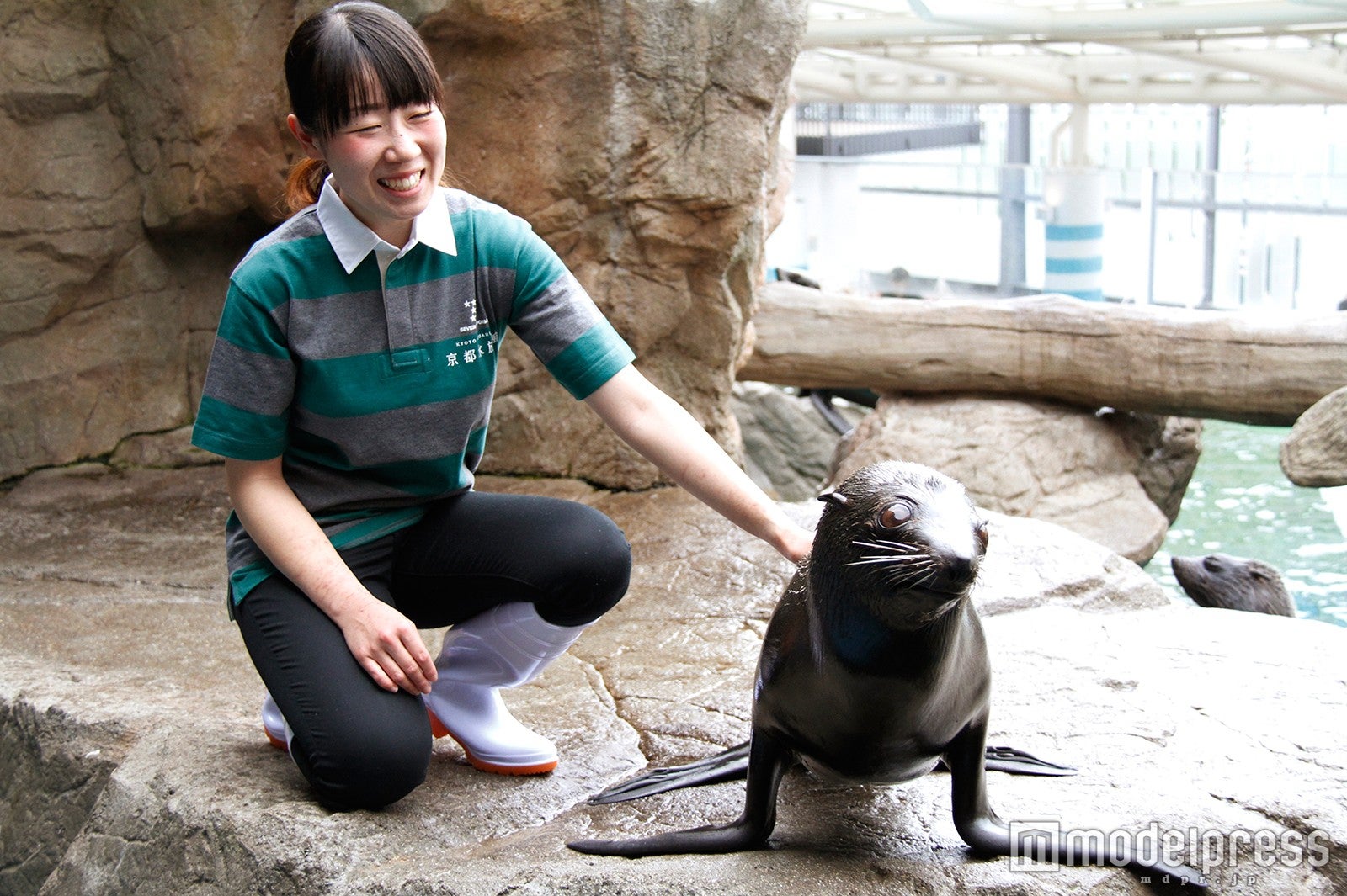 スタッフユニフォーム／画像提供：京都水族館