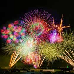 泉州 光と音の夢花火(過去イベントの模様)/画像提供:TryHard Japan