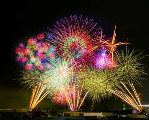 大阪「大阪泉州夏祭り」音楽フェス&花火大会の大型複合イベント