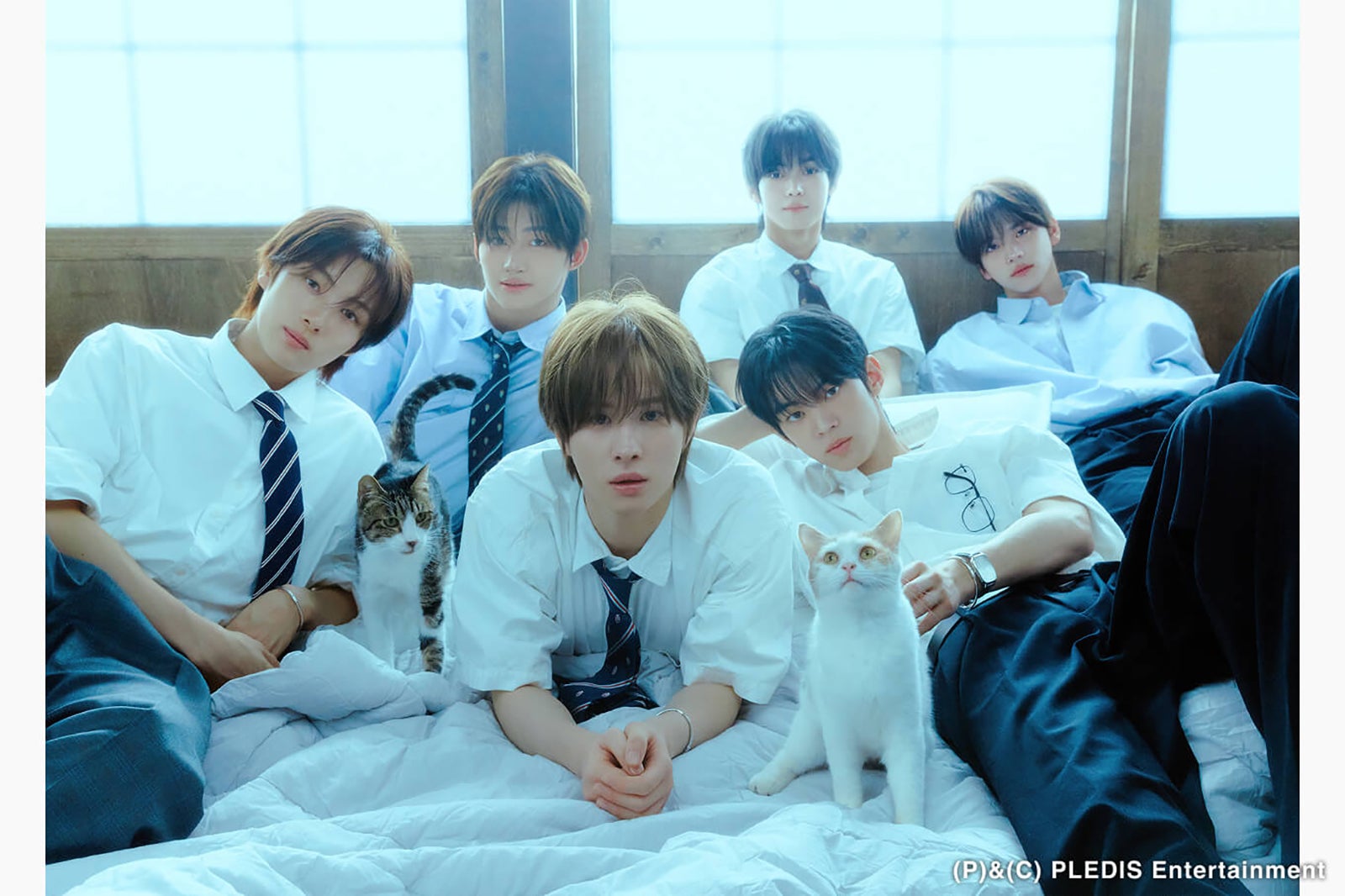 TWS（C）（P）＆（C） PLEDIS Entertainment