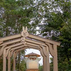 どんどこ森(C)Studio Ghibli