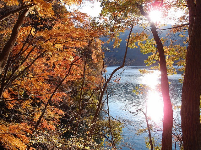 Ikoi Trail @ Lake Okutama by *_*