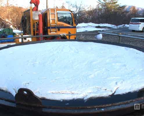 NEWS、4人4様の“誰もやらない実験”に体当たりで挑戦 人気番組がパワーアップ