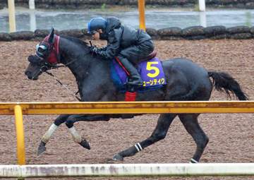 【宝塚記念】ジューンテイク 逆襲に燃える 松山は京都記念Vの再現を狙う「（藤岡）佑介さんの競馬をイメージしたい」